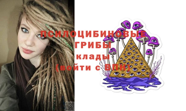 спиды Армянск