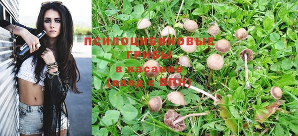 кокаин перу Аркадак