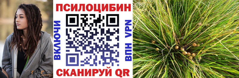 Галлюциногенные грибы Psilocybe  гидра ссылка  Шарья  закладка 